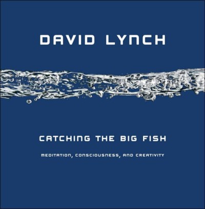 Unique Meditation Approach David Lynch Catching The Big Fish