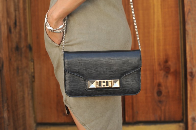 10 Pros & Cons Of Being Petite Proenzer Schouler Bag